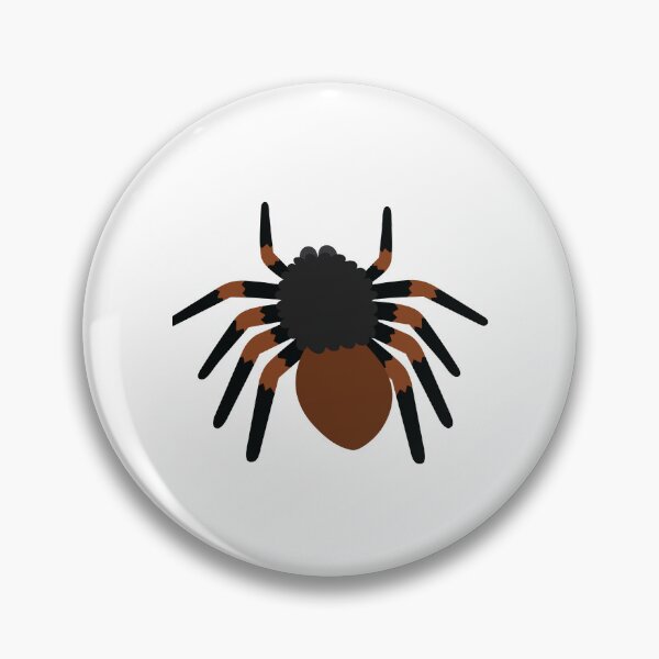 Item preview, Tarantula Spider | Majestic and Mysterious Arachnid designed and sold by KiValuate.