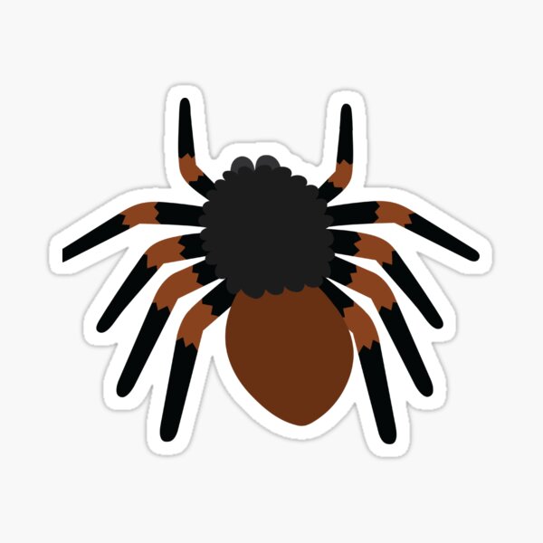 Item preview, Tarantula Spider | Majestic and Mysterious Arachnid designed and sold by KiValuate.