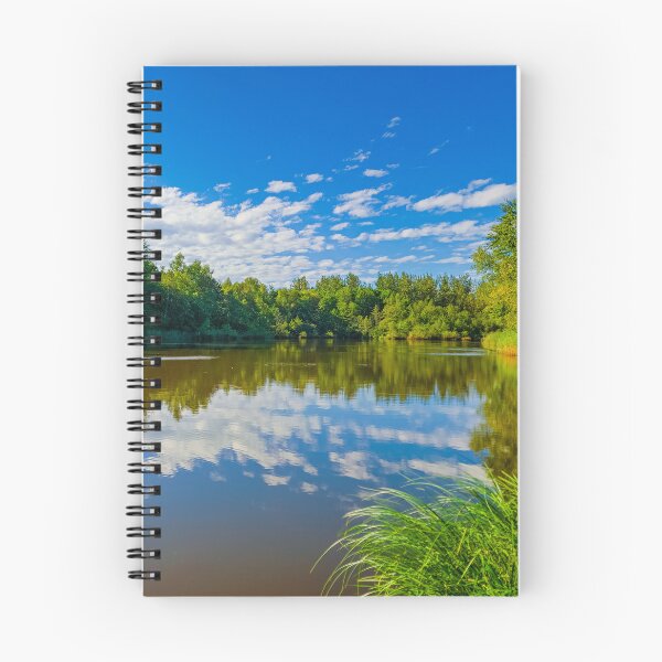 Item preview, La Dame Pond on the plateau of 1000 ponds designed and sold by Declic Alan.