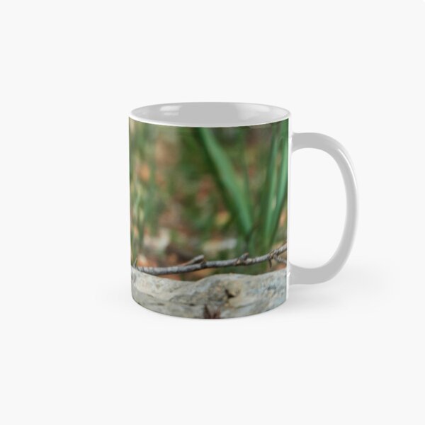 Item preview, Collared Dove designed and sold by Eidetic Photos.