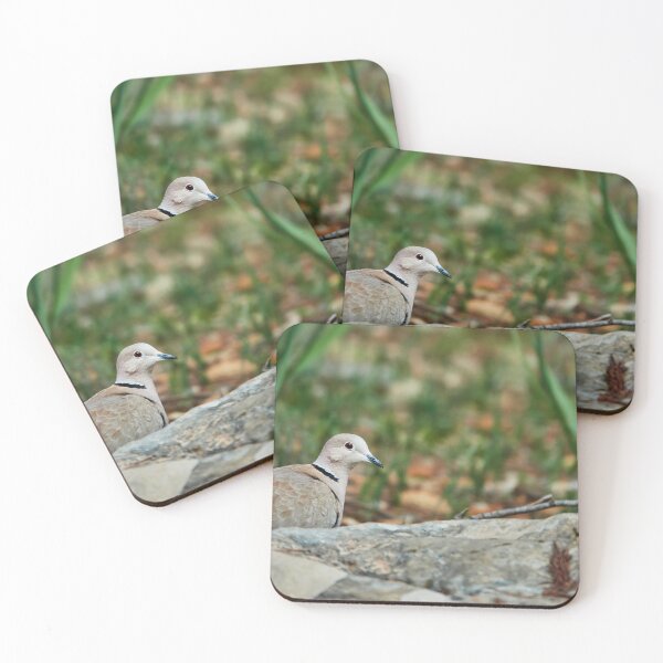 Item preview, Collared Dove designed and sold by Eidetic Photos.