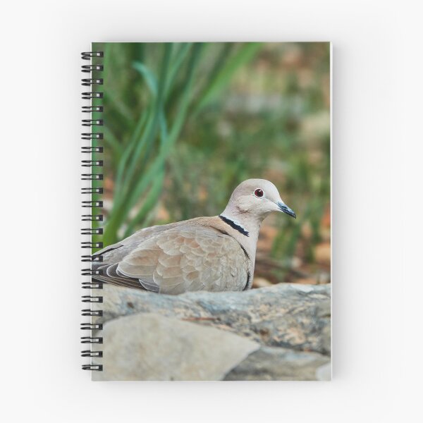 Item preview, Collared Dove designed and sold by Eidetic Photos.