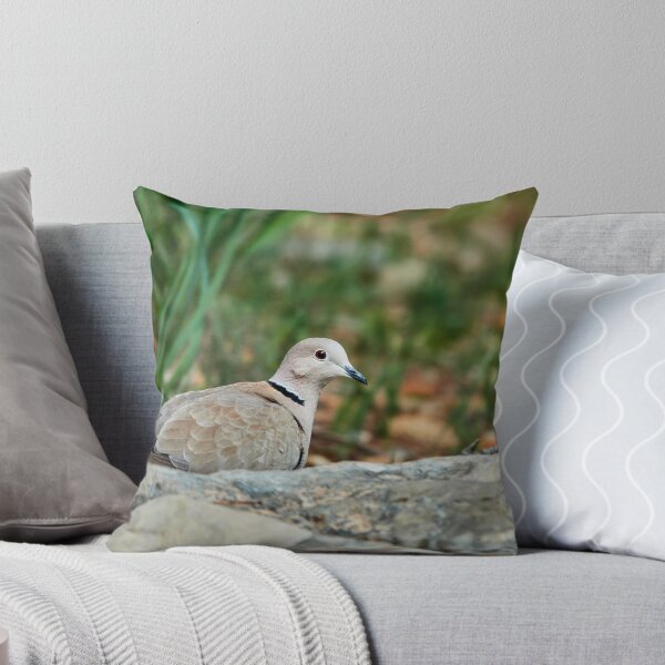 Item preview, Collared Dove designed and sold by Eidetic Photos.