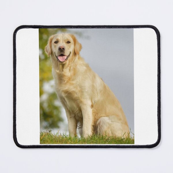 Item preview, Beautiful Golden Retriever designed and sold by Noni3D.