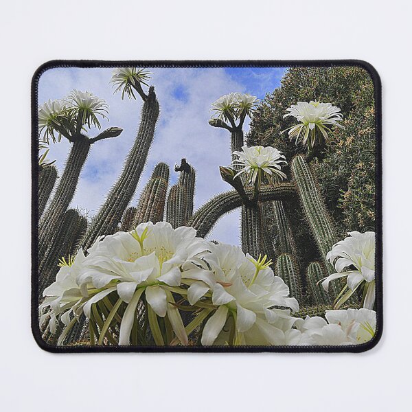 Item preview, A Gathering of White designed and sold by Larry Davis.