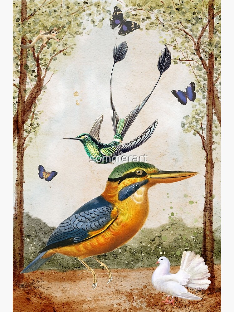 Thumbnail 7 of 7, Framed Art Print, Kookaburra Dreams designed and sold by sommerart.