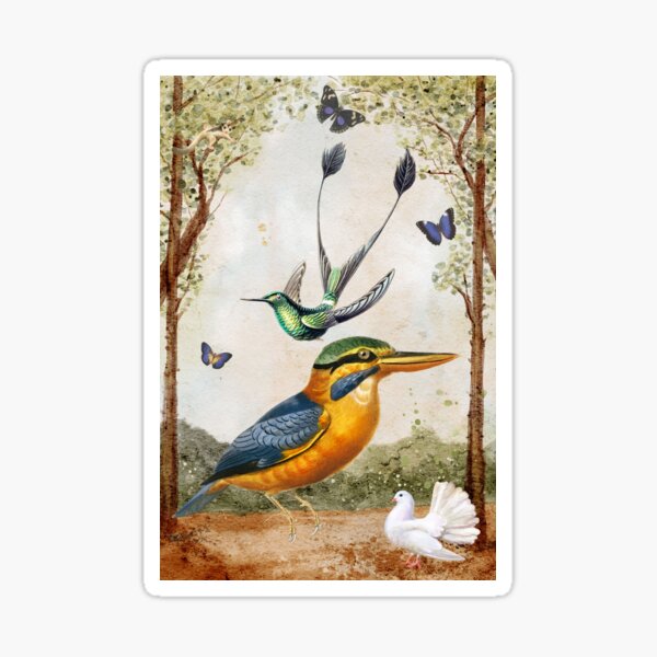 Kookaburra Dreams Sticker