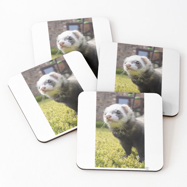Item preview, Playful and curious Ferret designed and sold by Noni3D.