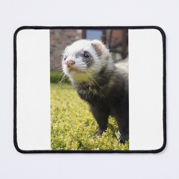 Item preview, Playful and curious Ferret designed and sold by Noni3D.