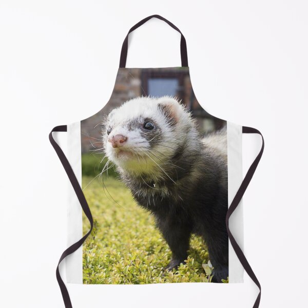 Item preview, Playful and curious Ferret designed and sold by Noni3D.