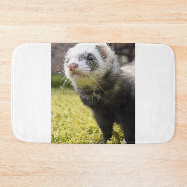 Item preview, Playful and curious Ferret designed and sold by Noni3D.
