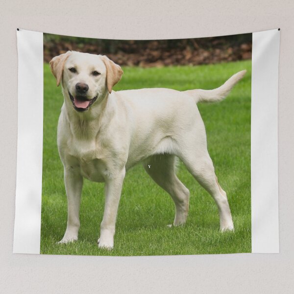 Item preview, Affectionate Labrador Retriever designed and sold by Noni3D.