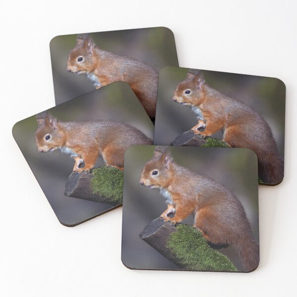 Item preview, Red Squirrel designed and sold by Tom McPherson Photography.