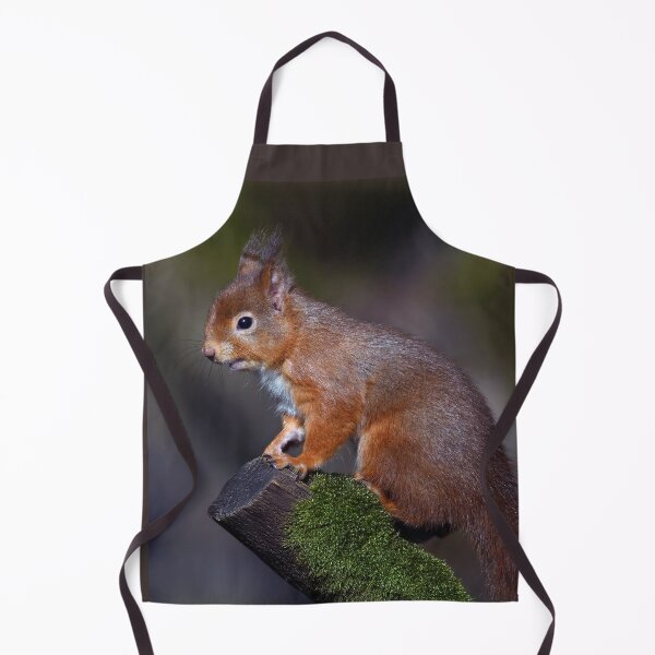 Item preview, Red Squirrel designed and sold by Tom McPherson Photography.