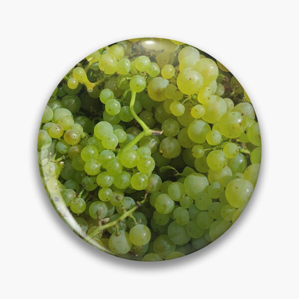 Item preview, Chardonnay by Adelaide Artist Avril Thomas at Magpie Springs designed and sold by MagpieSprings.