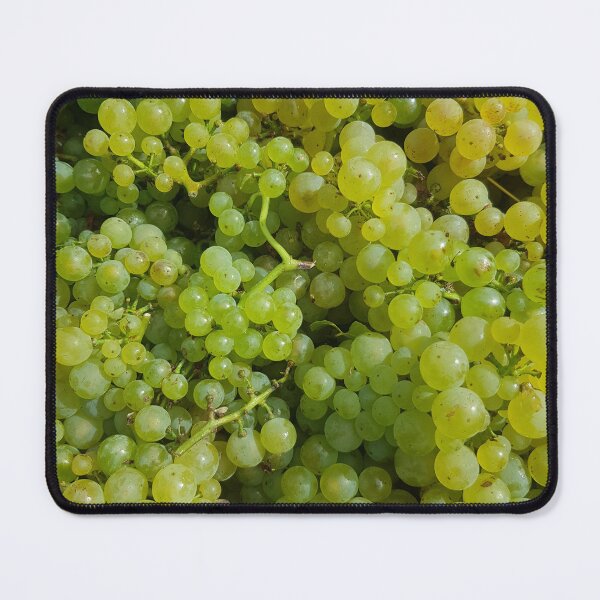 Item preview, Chardonnay by Adelaide Artist Avril Thomas at Magpie Springs designed and sold by MagpieSprings.