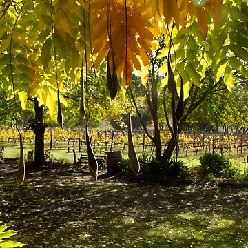 Artwork thumbnail, The View - Adelaide Hills Wine Region - Fleurieu Peninsula by South Australian artist Avril Thomas by MagpieSprings