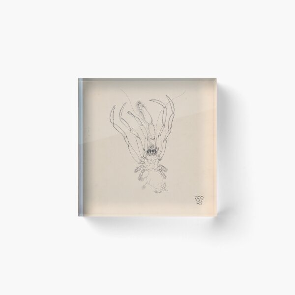 Item preview, Hudson Canyon Crustacean designed and sold by WCS-Archives.
