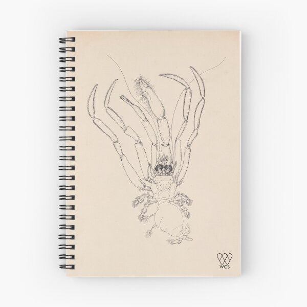 Item preview, Hudson Canyon Crustacean designed and sold by WCS-Archives.
