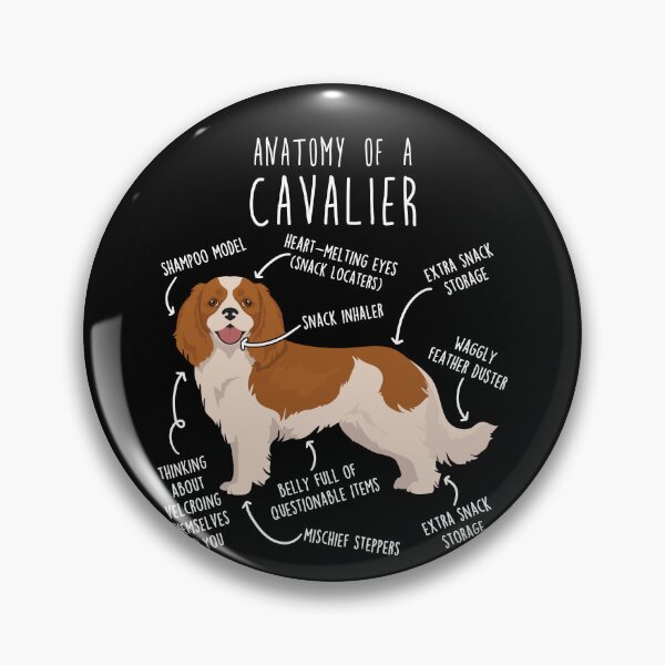 Item preview, Blenheim Cavalier King Charles Spaniel Dog Anatomy designed and sold by Clara Hollins.