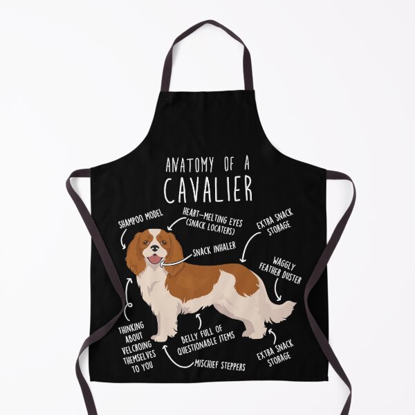 Artikelvorschau, Anatomie des Blenheim Cavalier King Charles Spaniel entworfen und verkauft von Clara Hollins.
