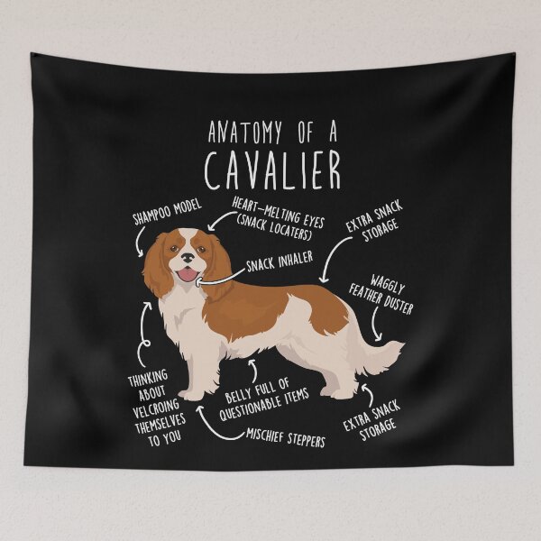 Item preview, Blenheim Cavalier King Charles Spaniel Dog Anatomy designed and sold by Clara Hollins.