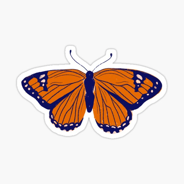 Item preview, Blue & Orange Butterfly designed and sold by emiilyygunn.