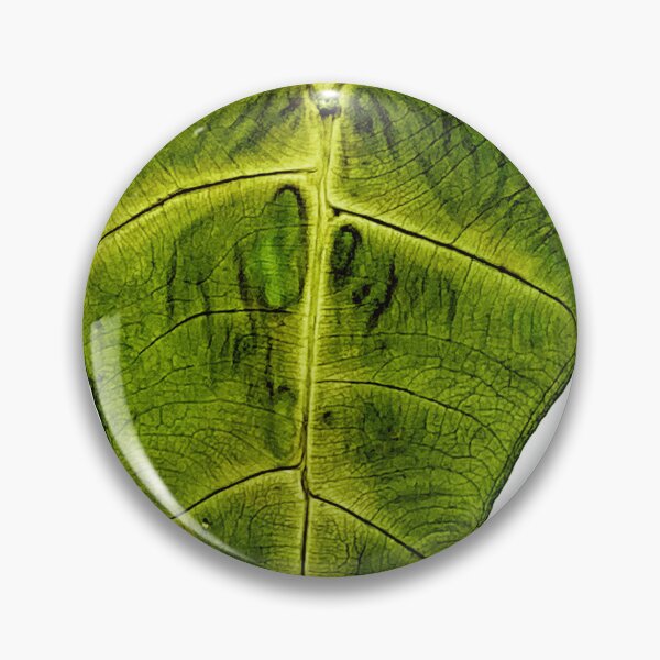 Item preview, Pressed Alocasia Leaf Art designed and sold by Luilui7.