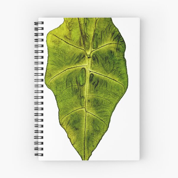 Item preview, Pressed Alocasia Leaf Art designed and sold by Luilui7.