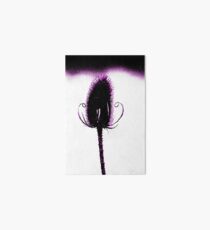 purple teasel Art Board