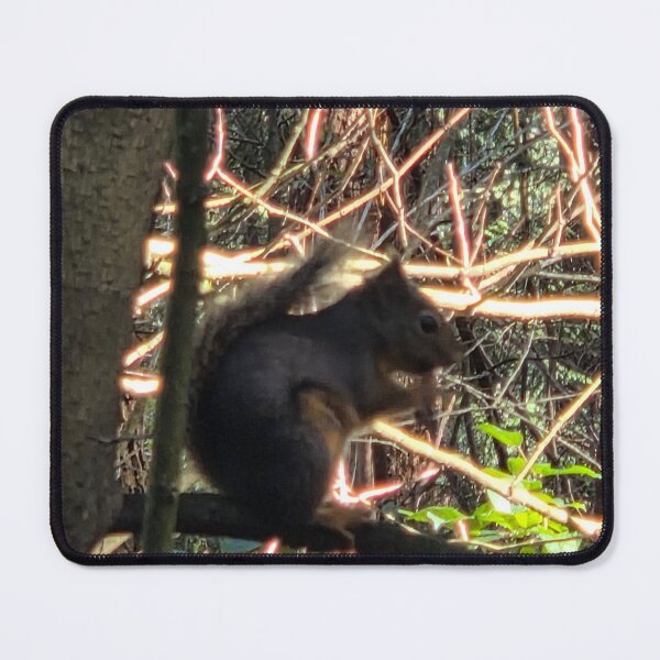 Item preview, Squirrel Enjoying Dinner designed and sold by TarrejB.