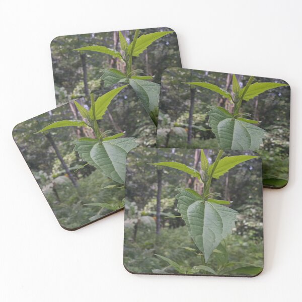 Item preview, Green Plant Leaves Perfect for Nature Lovers who love Plants designed and sold by Yusuf-Design.