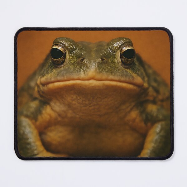 Item preview, Grumpy Frog MOOD Meme Funny Poster Art designed and sold by BadLuckByDesign.
