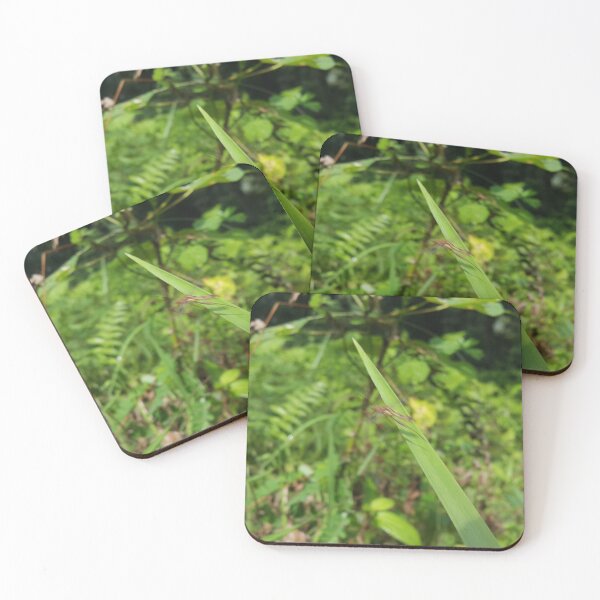 Item preview, Lupine Bug is shot in flight so it looks beautiful blurry.  designed and sold by Yusuf-Design.