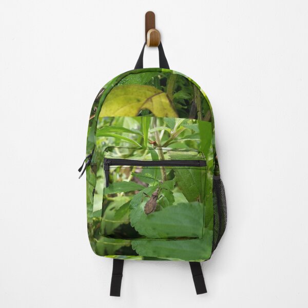 Item preview, Rice Bug on Leaf Perfect for Nature Lovers Who Love Animals. designed and sold by Yusuf-Design.
