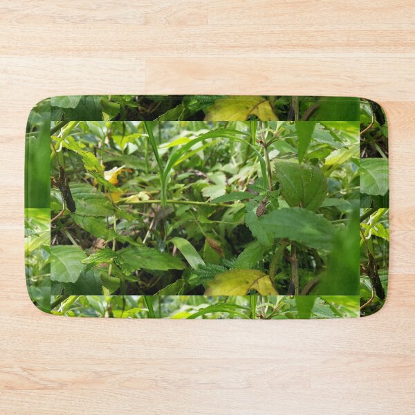 Item preview, Rice Bug on Leaf Perfect for Nature Lovers Who Love Animals. designed and sold by Yusuf-Design.