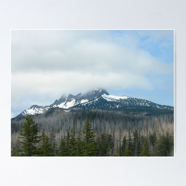 Item preview, Oregon designed and sold by carpenter777.