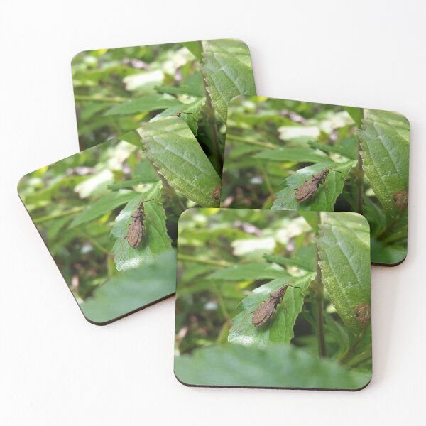Item preview, Lupine bug is shot in the mounatin designed and sold by Yusuf-Design.