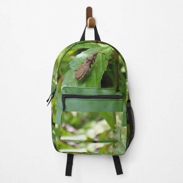 Item preview, Lupine bug is shot in the mounatin designed and sold by Yusuf-Design.