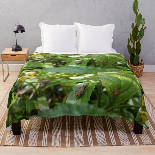 Item preview, Lupine bug is shot in the mounatin designed and sold by Yusuf-Design.