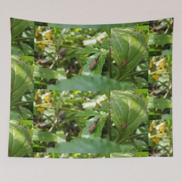 Item preview, Lupine bug is shot in the mounatin designed and sold by Yusuf-Design.