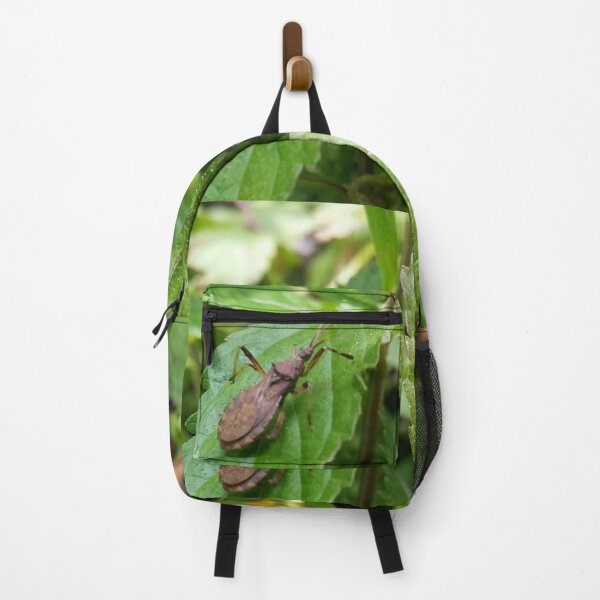 Item preview, Rice Bug on Leaf Perfect for Nature Lovers Who Love Animals. designed and sold by Yusuf-Design.