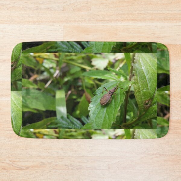 Item preview, Rice Bug on Leaf Perfect for Nature Lovers Who Love Animals. designed and sold by Yusuf-Design.