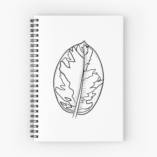 Item preview, Rubber Plant Ficus Belize designed and sold by Ekorn17.