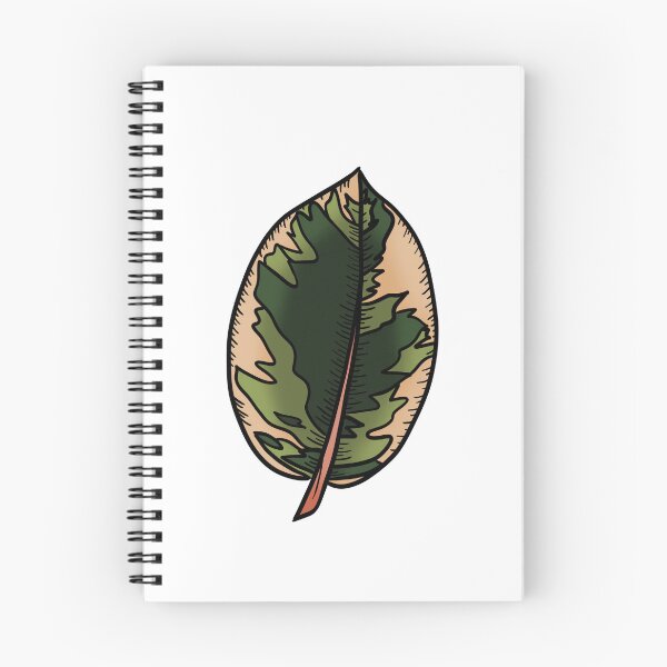 Item preview, Rubber Plant Ficus Belize designed and sold by Ekorn17.