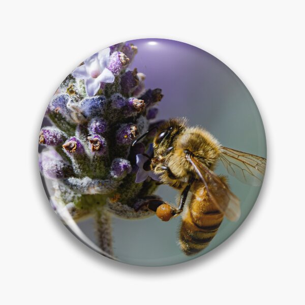 Item preview, Bee on Lavander designed and sold by Mslphotography.