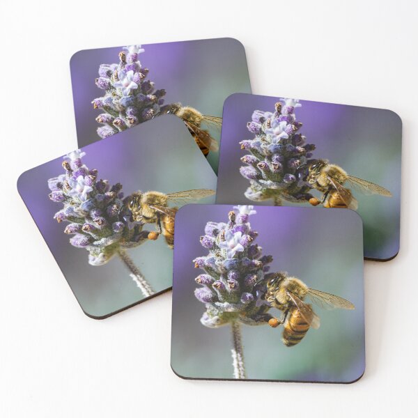 Item preview, Bee on Lavander designed and sold by Mslphotography.