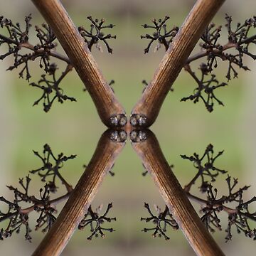 Artwork thumbnail, X Marks the Spot by Adelaide Artist Avril Thomas at Magpie Springs by MagpieSprings