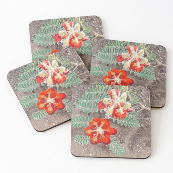 Item preview, Sturt Dessert pea from above designed and sold by DebbieWay.