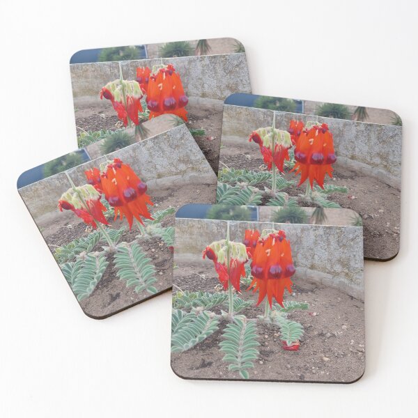 Item preview, Sturt Dessert Pea in Captivity designed and sold by DebbieWay.